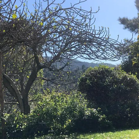 Plein Soleil Avec Piscine Mandelieu